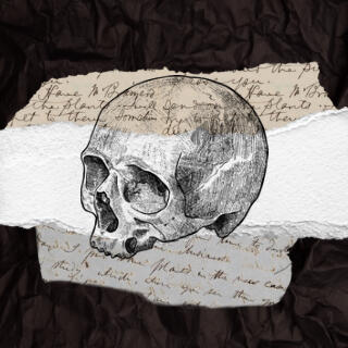 a collage of various papers with the stamp of a skull